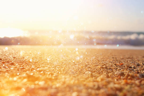 The beach is a beautiful place with a calm ocean and a gentle wave. The sand is golden and the water is clear. The scene is peaceful and relaxing, perfect for a day at the beach