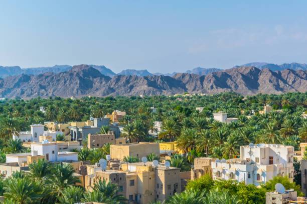 вид с воздуха на город низва, сделанный с вершины местной крепости в омане. - nizwa стоковые фото и изображения