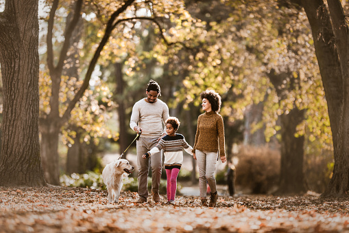istock Feliz familia afroamericana tomando a su perro para un paseo de otoño. 1140939348