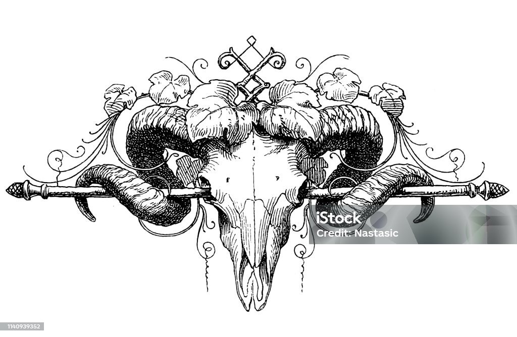 Ram skull page ornament Illustration of a Ram skull page ornament Ram - Animal stock illustration