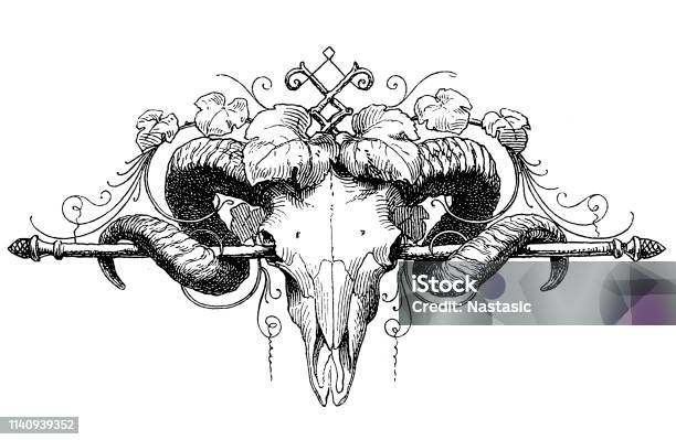 Ram Skull Page Ornament Stock Illustration - Download Image Now - Ram - Animal, Skull, Engraving