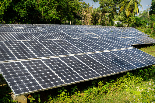 Large solar panels in the rainforest. Alternative solar energy. Electrification of the Andaman Islands. photovoltaic battery in the forest among the palm trees