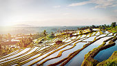Bali Rice Terraces.