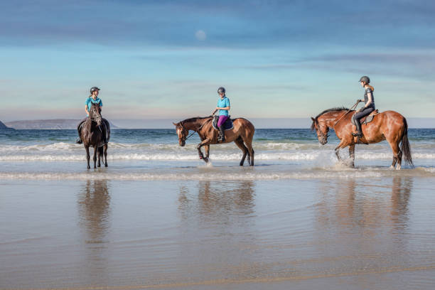 ビーチで馬に乗って3代の女の子 - mounted ストックフォトと画像
