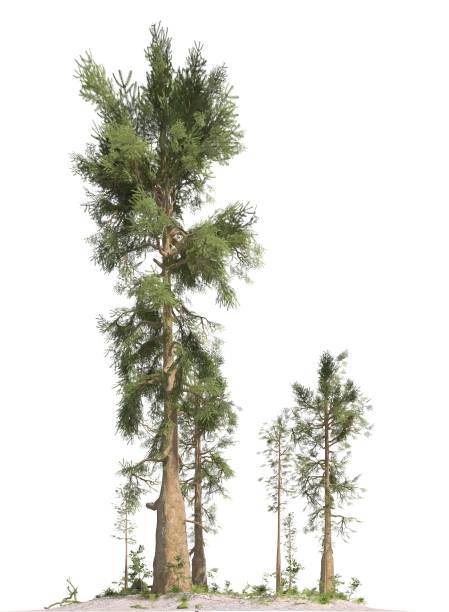 istock Trees of the mesozoic era isolated on white background 3D illustration 1140948503