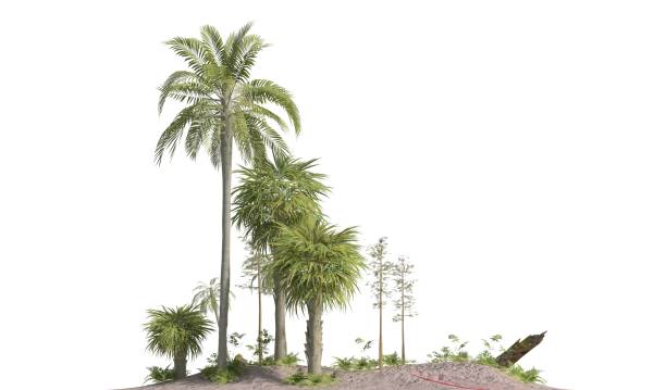 istock Trees of the mesozoic era isolated on white background 3D illustration 1140948522