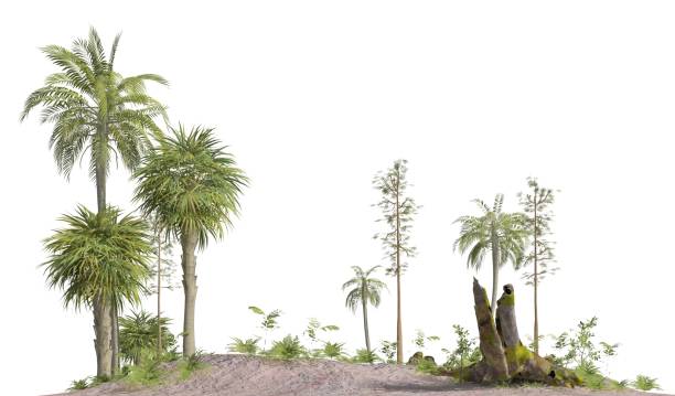 Trees of the mesozoic era isolated on white background 3D illustration stock photo