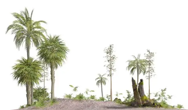 3D illustration trees of the mesozoic era isolated on white background