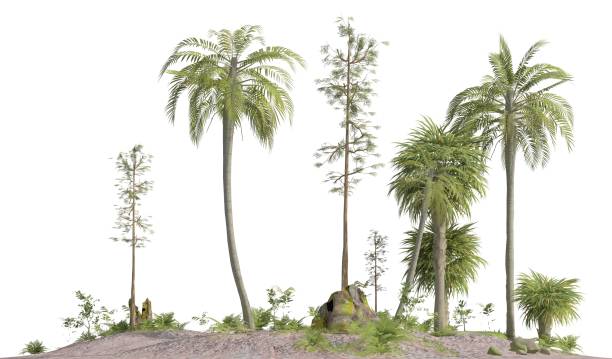 istock Trees of the mesozoic era isolated on white background 3D illustration 1140948549
