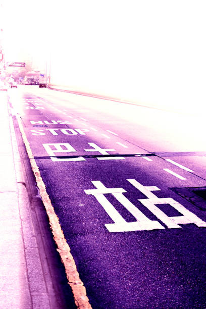 The road for travel
