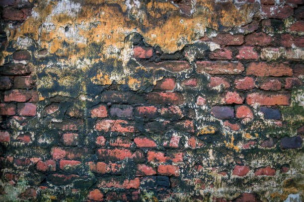 corner of a brick wall with moss mold - corner stone wall brick imagens e fotografias de stock