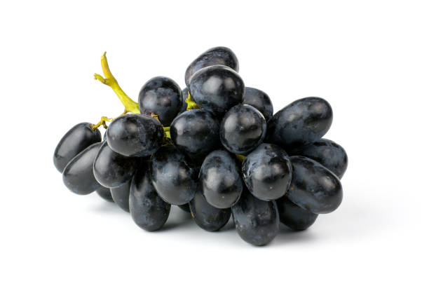46,266 Black Grape Stock Photos, Pictures & Royalty-Free Images - iStock