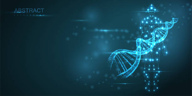 ilustrações de stock, clip art, desenhos animados e ícones de blue abstract background with luminous dna molecule, neon helix and human silhouette. - life sciences