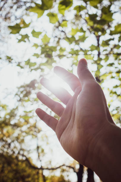 istock Sunlight through human fingers in forest 1140952826