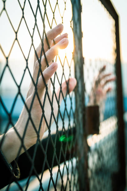 hand with fence stock photo