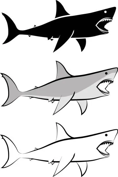 Vector illustration of shark