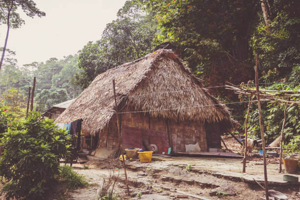 istock A little hut in in the tropical jungle 1140954645