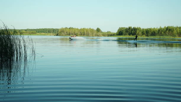 istock Summer landscape, pond and forest on the horizon. 1140955409