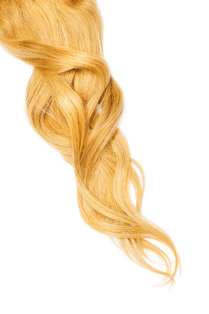 istock Blond hair, isolated on white background. Long wavy ponytail 1140960279