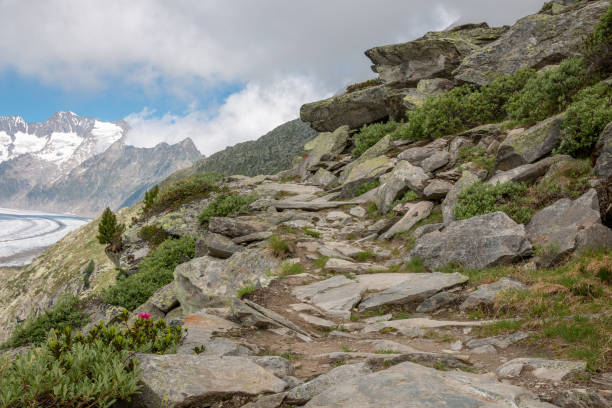 istock Panorama of mountains scene, walk through the great Aletsch Glacier 1140960891