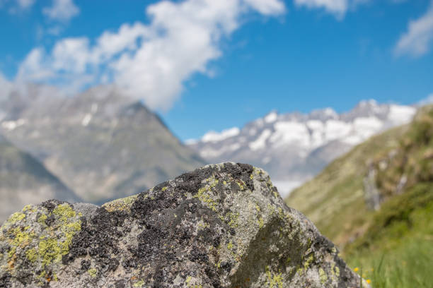 istock Panorama of mountains scene, walk through the great Aletsch Glacier 1140960906
