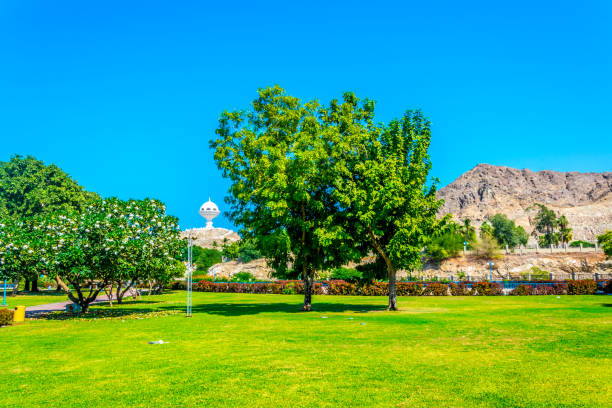 istock Al Riyam Park in Muscat 1140962513