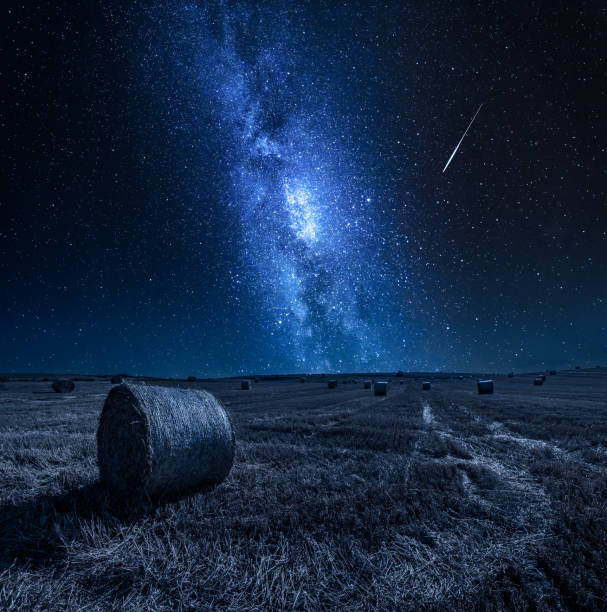 istock Milky way and field with hays at night 1140962547