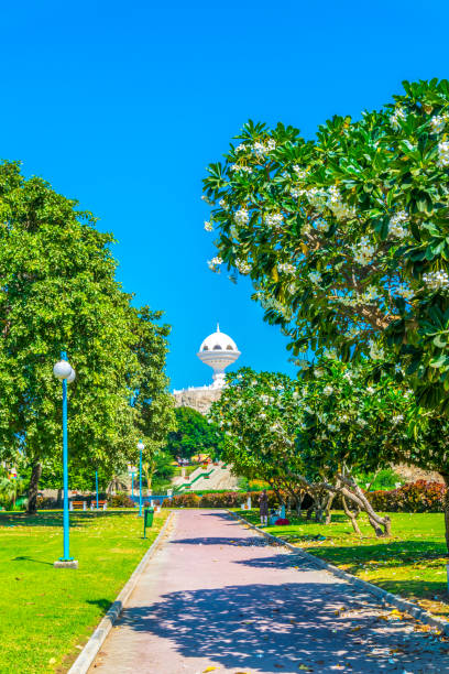 istock Al Riyam Park in Muscat 1140962651
