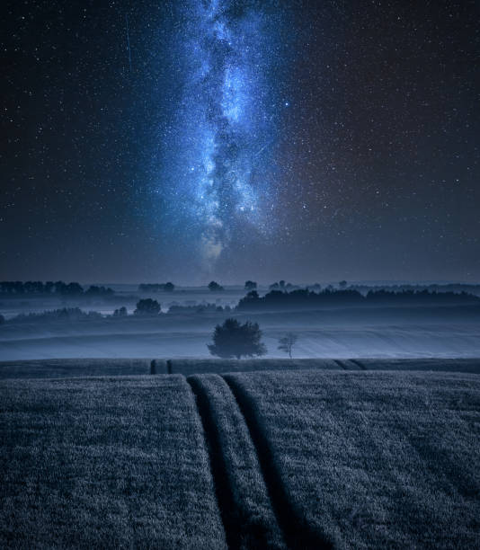 istock Filed with one tree in summer and milky way 1140964540