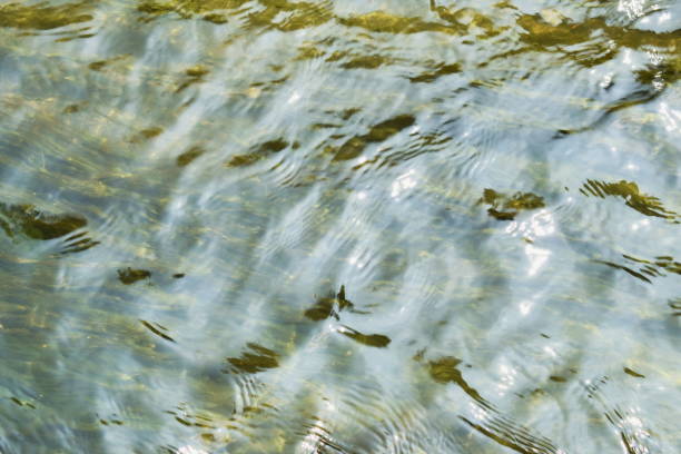 istock water flowing and rippled in canal 1140965852