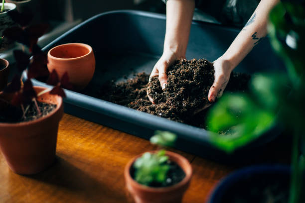 istock Close up shot of hands working with soil 1140966348