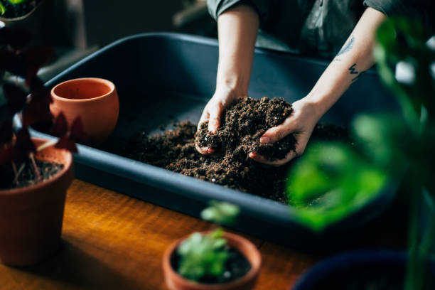 istock Close up shot of hands working with soil 1140966487