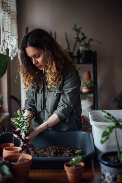 istock Young woman planting flower 1140966608