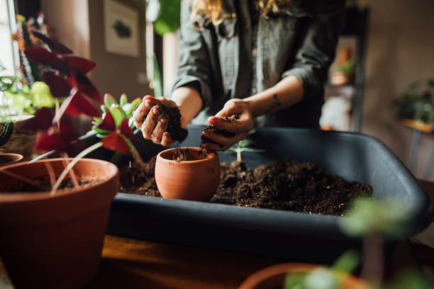 istock Close up shot of hands working with soil 1140966897