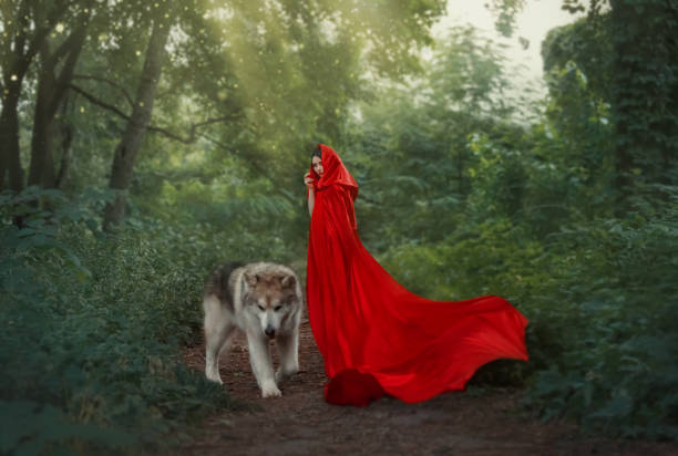 Cute Fantastic Fairytale Character Mysterious Darkhaired Girl With Long Flying Waving Scarlet Red Bright Raincoat Stands In The Forest With A Huge Wild Wolf Who Leaves The Lady Alone Stock Photo - Cute Fantastic Fairytale Character Mysterious Darkhaired Girl With Long Flying Waving Scarlet Red Bright Raincoat Stands In The Forest With A Huge Wild Wolf Who Leaves The Lady Alone Stock Photo -