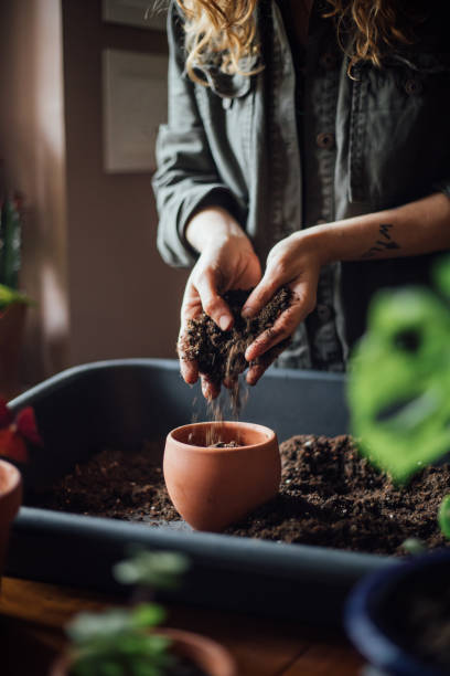 istock Close up shot of hands working with soil 1140967957