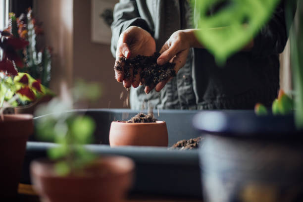 istock Close up shot of hands working with soil 1140968042