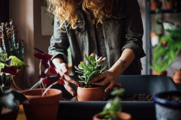 Young woman planting flower