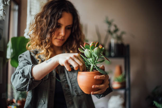 istock Young woman planting flower 1140968733