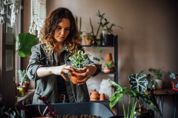 istock Young woman planting flower 1140968904