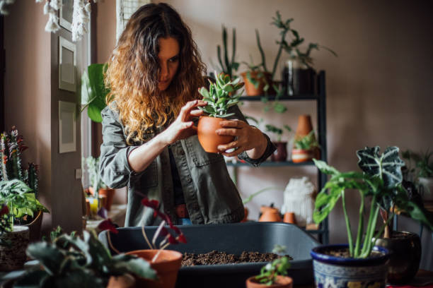 istock Young woman planting flower 1140969257