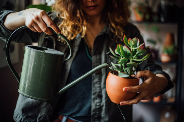 istock Woman watering flowers 1140969388