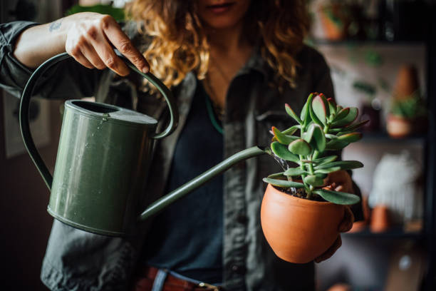 istock Woman watering flowers 1140969593