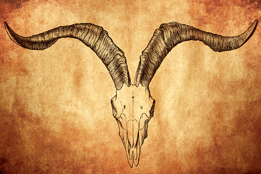 Goat Skull Stock Illustration - Download Image Now - Symbol, Voodoo, Witch  - iStock