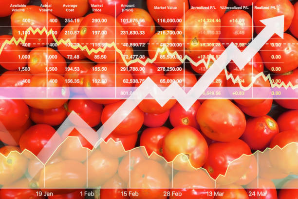 aktienfinanzindex datenpräsentation berichten hintergrund der frische bio-rote tomaten gesunde lebensmittel für erfolgreiche unternehmen investitionen in der landwirtschaft. - möhre grafiken stock-fotos und bilder