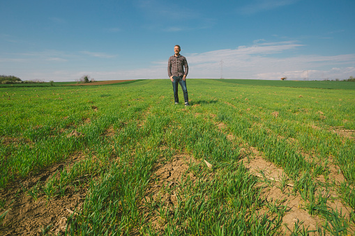 Springtime at agricultural fields. Photo is taken with full frame dslr camera outdoors on sunny day.