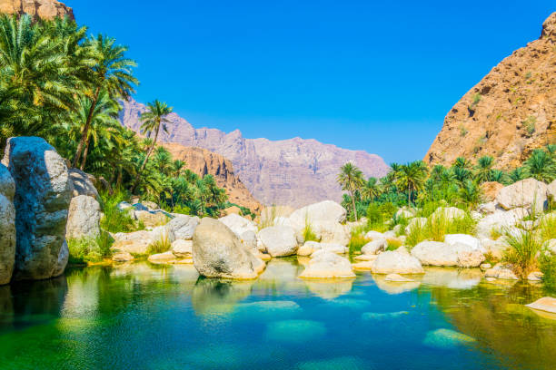 lagoon with turqoise water in wadi tiwi in oman. - tiwi imagens e fotografias de stock