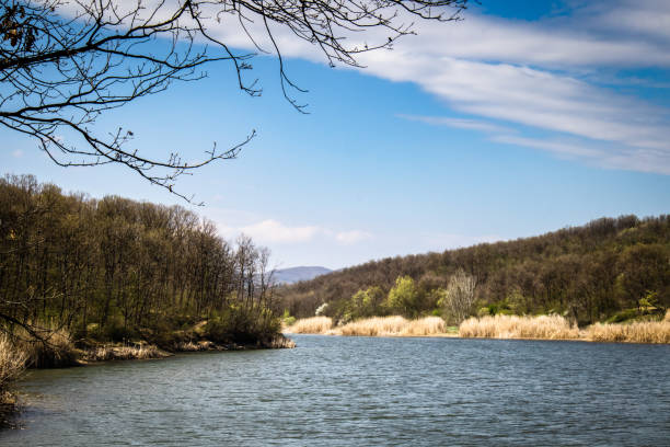istock Lake and forest in early spring 1140973497