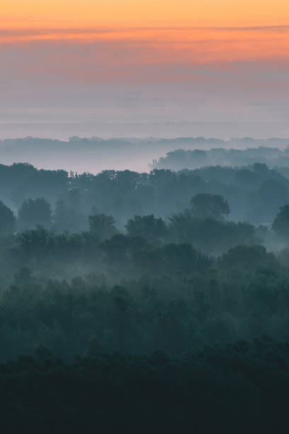istock Mystical view from top on forest under haze at early morning. Mist among layers from tree silhouettes in taiga under warm predawn sky. Morning atmospheric minimalistic landscape of majestic nature. 1140973527