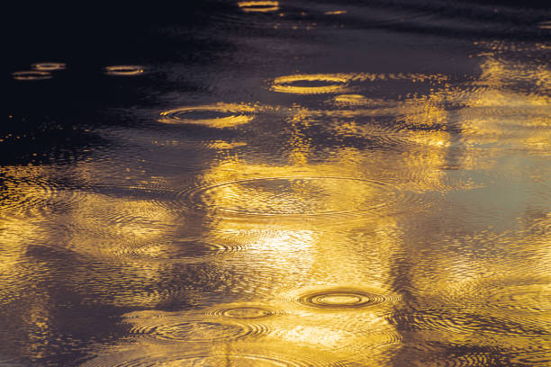 Amazing natural background with gold rainy circles on calm rippled water surface. Sunlight reflected in mountain lake with beautiful golden droplets close-up. Wonderful shiny rain drops in sunny light